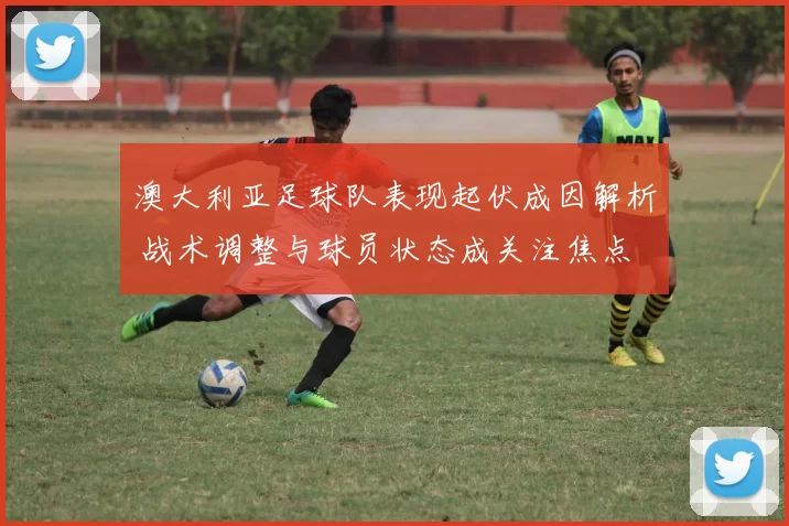 澳大利亚足球队表现起伏成因解析 战术调整与球员状态成关注焦点
