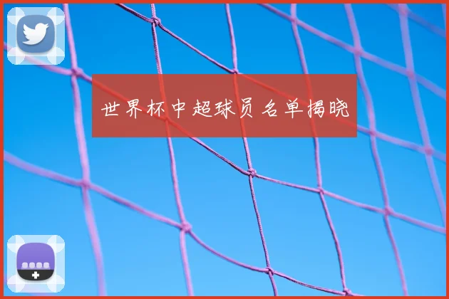 世界杯中超球员名单揭晓