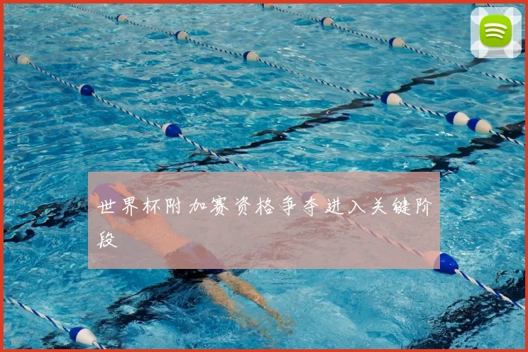 世界杯附加赛资格争夺进入关键阶段