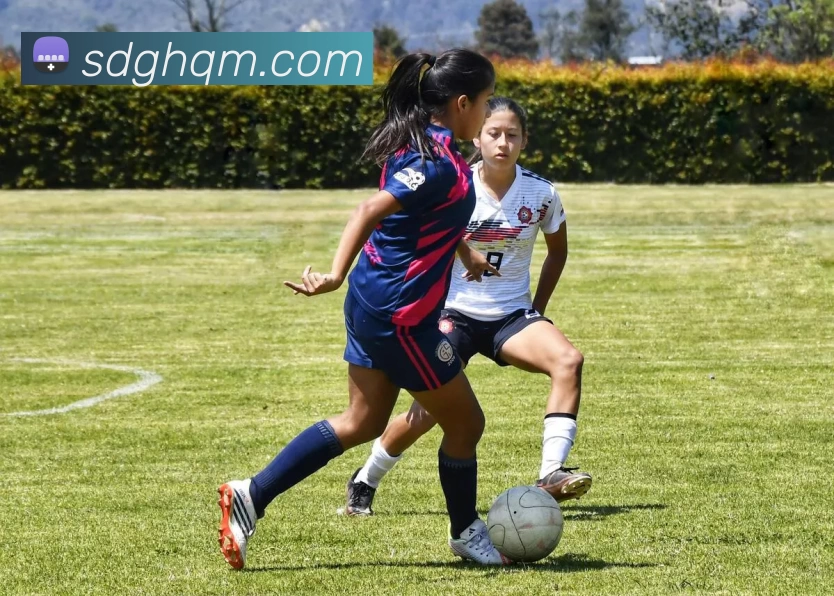 开云手机站官方版网站登录入口 - 开云(中国)服务体系